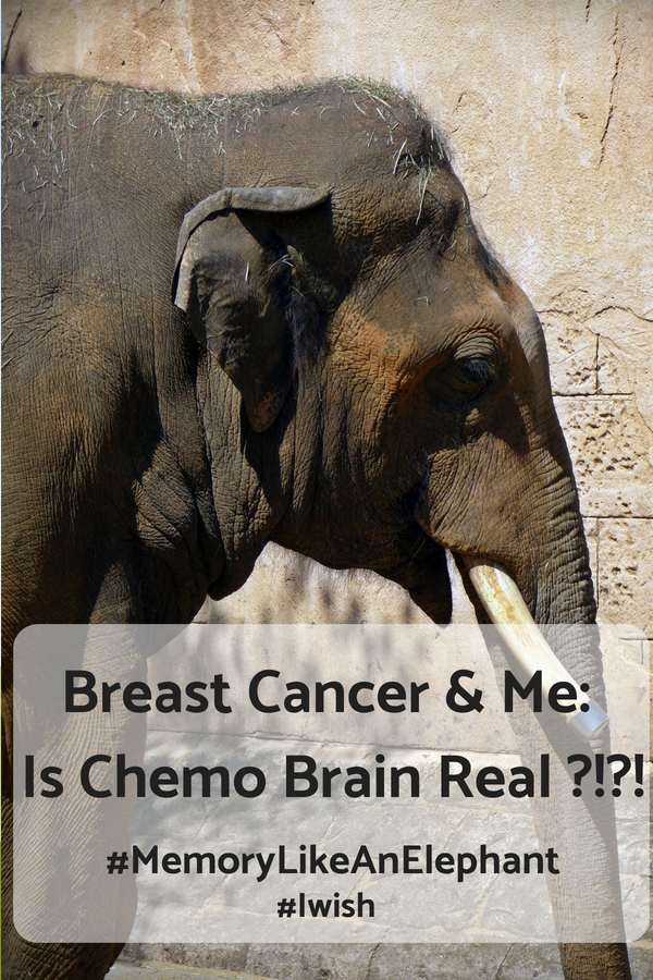 Breast Cancer Awareness: Is Chemo Brain Real? #TotallyTatas #chemo #cancer #breastcancer #chemoday